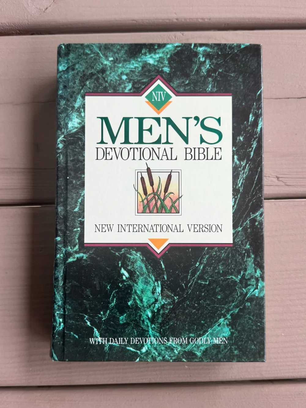 Men's Devotional Bible - (NIV)